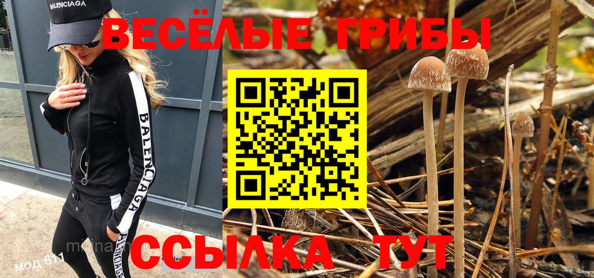 Галлюциногенные грибы Magic Shrooms Дубна