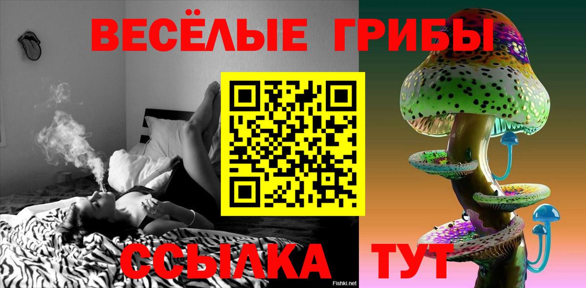 Дубна  Псилоцибиновые грибы Psilocybe  Галлюциногенные грибы ЛСД  Вход с VPN 